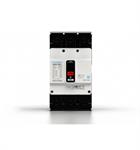 MCCB HYUNDAI 2P 20A 35kA ( HGM100E-F )